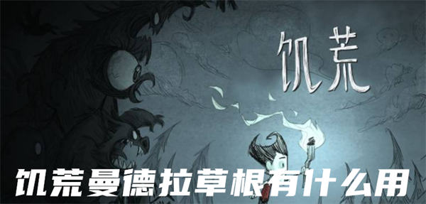 饥荒曼德拉草根有什么用