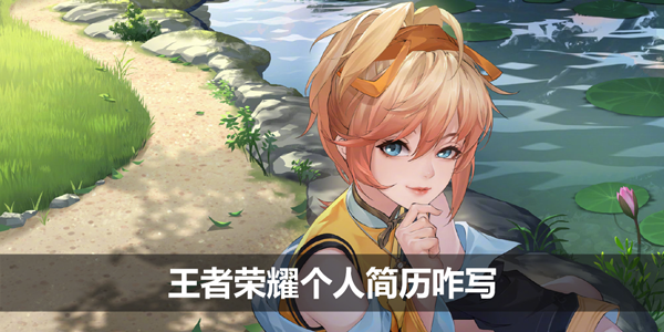 王者荣耀个人简历咋写