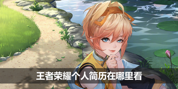 王者荣耀个人简历在哪里看