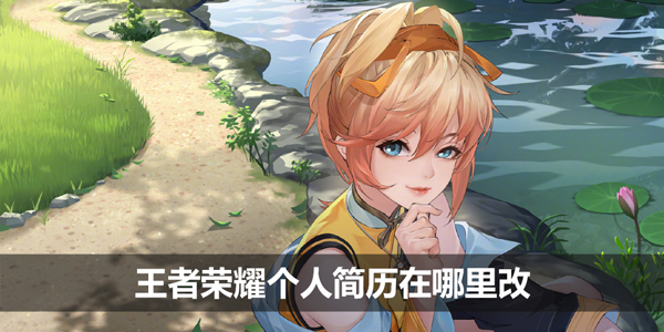 王者荣耀个人简历在哪里改