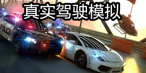 真实驾驶模拟