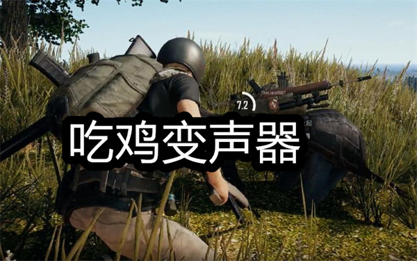 吃鸡变声器
