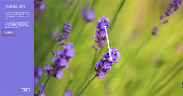 电脑图片密码怎么设置