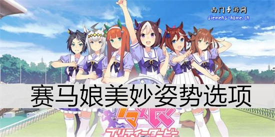 赛马娘美妙姿势选项
