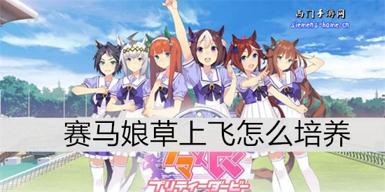 赛马娘草上飞怎么培养