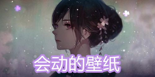 会动的壁纸