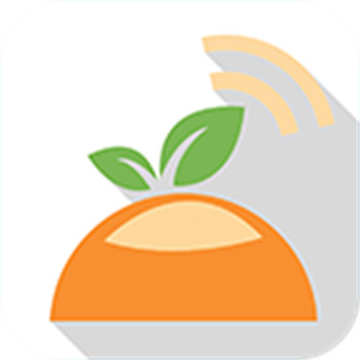橙子网app最新版本