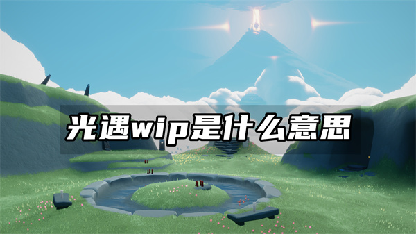 光遇wip是什么意思