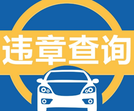 免费查违章软件