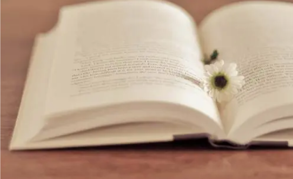 口碑最好的阅读软件