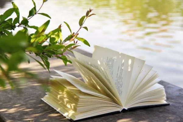 免费读小说软件哪个最好用