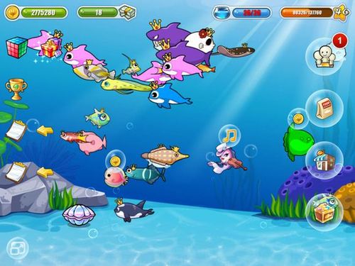 养鱼游戏