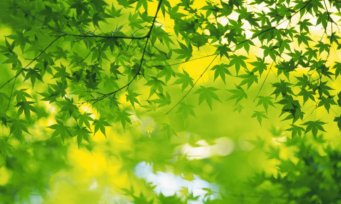 脱壳软件有哪些