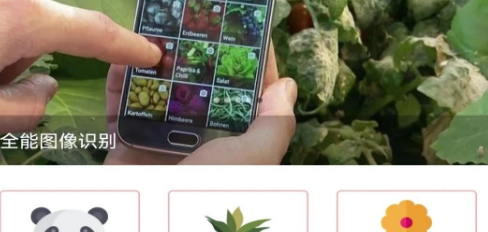 拍照识图软件哪个好用免费