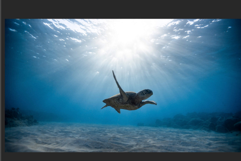 视频截图软件哪个好