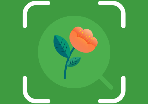 能够识别植物的软件