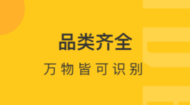 识图软件哪个好用