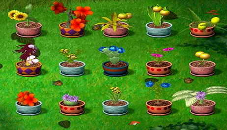 可以养花的游戏