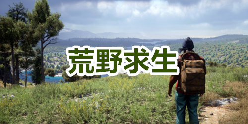 荒野求生