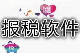 报税软件