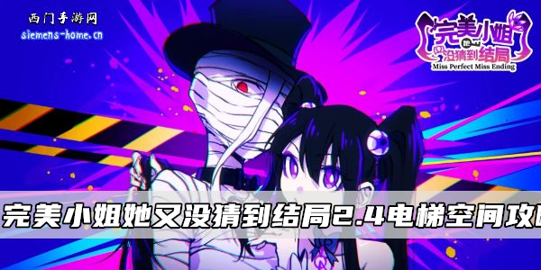 完美小姐她又没猜到结局2.4电梯空间攻略