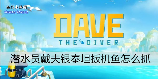 潜水员戴夫银泰坦扳机鱼怎么抓
