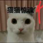 猫猫惊魂4手游