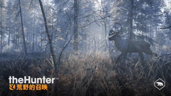 猎人荒野的呼唤打哪里比较好