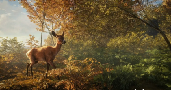 猎人荒野的呼唤技能加点推荐