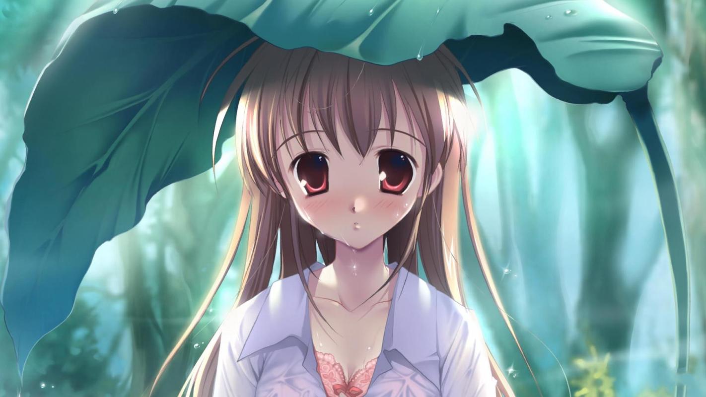 可以全部免费观看的软件