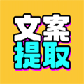 文案提取改写