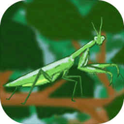 螳螂猎手最新版