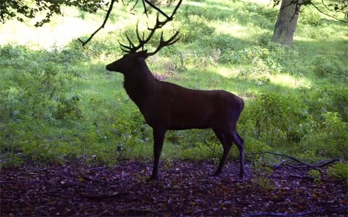 app免费软件大全下载