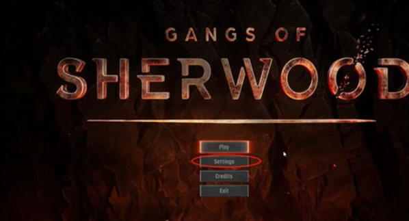 舍伍德侠盗团怎么设置中文