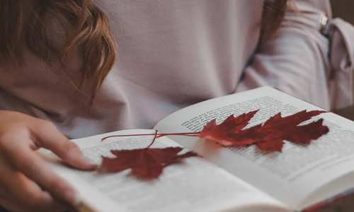 女生手机看书软件