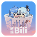 哔哩哔哩终端手表版
