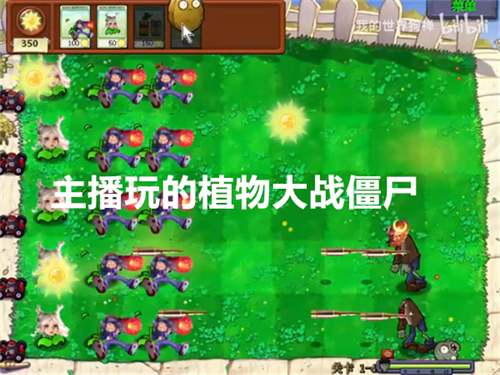 主播玩的植物大战僵尸