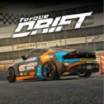 TorqueDrift