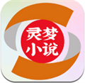 灵梦小说书源
