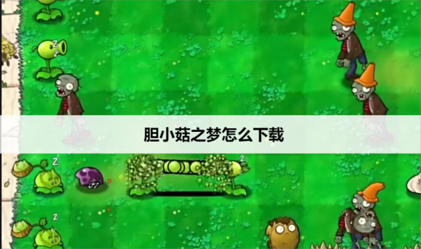 胆小菇之梦怎么下载