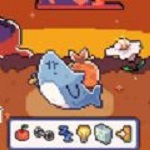 我的可爱小鲨鱼