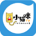 小猫咪box