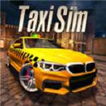 Real Taxi Simulator