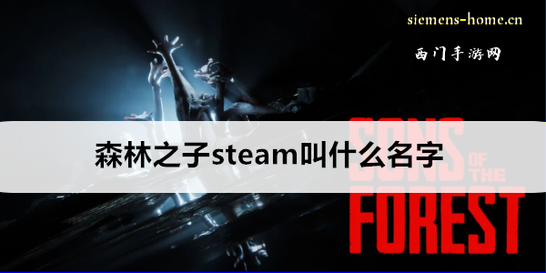 森林之子steam叫什么名字