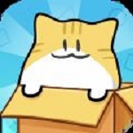 我的猫咪在哪儿