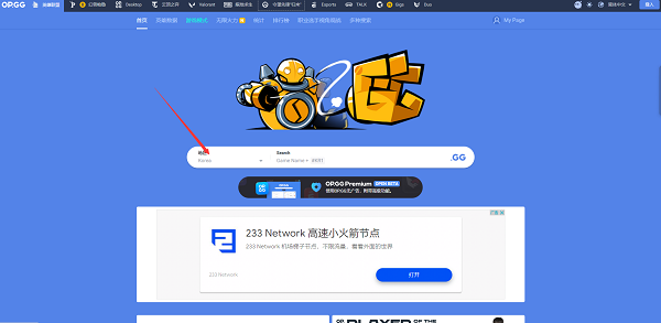 opgg怎么查国服战绩