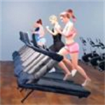 我的健身房模拟