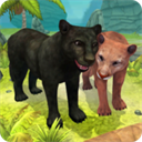 PantherFamilySim
