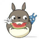 龙猫网