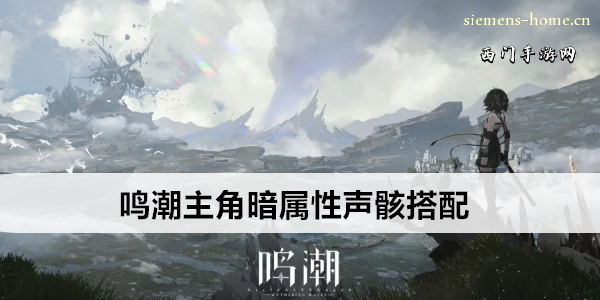 鸣潮主角暗属性声骸搭配